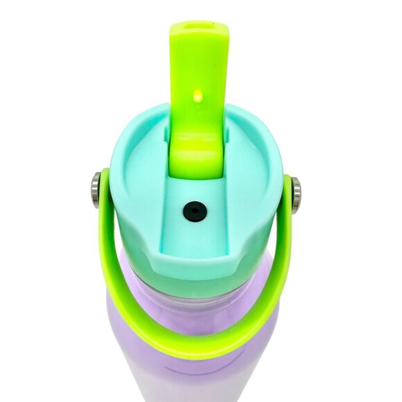 Swig 26 Oz Purple Stainless Steel Water Bottle Green Flip Straw Lid Carry Handle - Picture 4 of 7